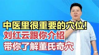 中医里很重要的穴位！刘红云跟你介绍，带你了解董氏奇穴