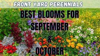 Front Yard Perennials | Best Blooms For September & October | Front Yard Landscaping Ideas