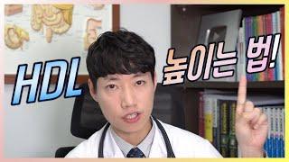 HDL 높이는 법 l 이상지질혈증 l 저HDL-콜레스테롤혈증 l 닥터딩요