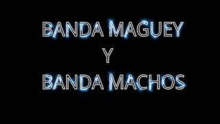 Banda maguey banda machos mix