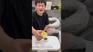 Mua Trà Sạch Trà Ngon Ở Đây Ạ