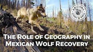 The Role of Geography in Mexican Wolf Recovery