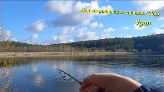 КЛЮЮТ ТОЛЬКО ЩУКИ! ТАКОЙ РЫБАЛКИ Я НЕ ОЖИДАЛ! Первая рыбалка на спиннинг в 2025. #рек #рыбалка