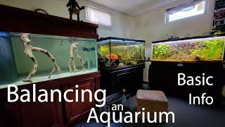 Balancing an Aquarium Basic Info