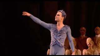 SLEEPING BEAUTY - Blue Bird Variation (Alexander Campbell - Royal Ballet)