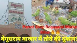 Begusarai Birds Market