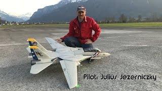 Freewing "Tomcat" F-14 meets Lambert Kolibri T25