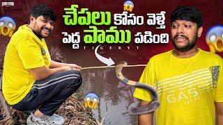 మాయా  just miss పాము కాటు వేసేసింది అనుకున్న  #food #shorts #vlog #fishing #vlog125