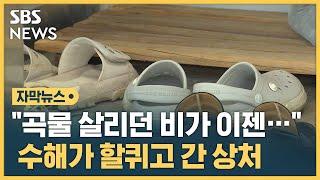 "아직도 생생해요"…수해에 트라우마 호소하는 이재민들 (자막뉴스) / SBS