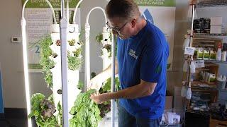 Save Your Tower Garden from Bugs Insects and Pests | True Garden