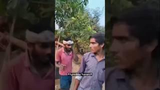 Agrodhan Nursary _70839 27667