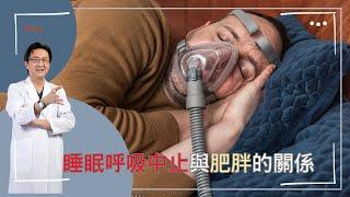 ｜直播｜睡眠呼吸中止與肥胖的關係｜腸胃霖負擔｜