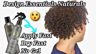 Design Essentials Naturals Almond & Avocado Products | No Gel Wash & Go On Natural Hair