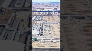 3D Tokyo  International Airport #shorts #memes #tokyo