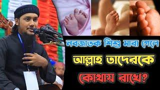 ছোট বাচ্চা মারা গেলে তাদেরকে কোথায় রাখা হয় | আবু ত্ব-হা মুহাম্মদ আদনান | ইসলামের আলো