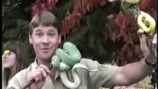 Steve and Terri Irwin with Green Tree Pythons at Brad's World Reptiles