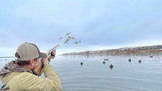 DUCK HUNTING a HIDDEN ISLAND Loaded With DIVERS!