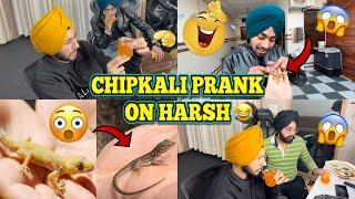 CHIPKALI PRANK ON FRIEND || HARSH SLAPPED BUTTAR ~ Prabh Buttar