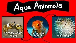 Internet Names for Aqua Aninmals