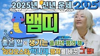 2025년 뱀띠 신년운세 _ 을사년 푸른 뱀의 해!! 삼재도 끝나고 좋은 기운이 들어온다!!