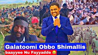 Galatoomi Obbo Shimallis Barreeffama Nagayummaa Oromia Ibsu Barreessite.