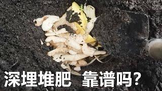 这么多缺点你还会这样堆肥吗? 挖坑深埋懒人堆肥的真相 Direct trench composting pros &cons