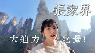 中国屈指の大迫力絶景【張家界VLOG】高所恐怖症はやめなさい