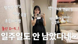 [임신vlog] 출산 코앞이다..! 39주 임산부의 마지막 기다림 | 막달까지 증상 | 출산 앞둔 심정 및 생각 #임신브이로그 #막달 #임산부왁싱 #막달운동 #브이로그