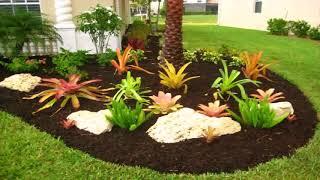 Landscape Design Ideas South Florida