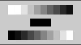 Greyscale - Black and White Test Pattern / bars for TV