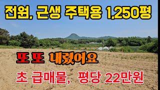 전원주택, 근생사무실 모두 가능, 알짜  양평 토지 땅 부동산  전원주택지 매매 매물 급매 급매매 급매물