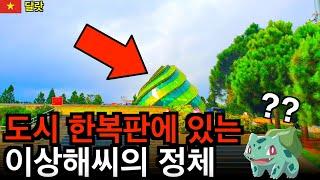 도시 한복판에 출현한 이상해씨의 정체