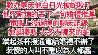 數九寒天他白月光被蛇咬了，他不耐煩的丟下一句婚禮推遲，電腦上沒退掉的聊天記錄，她是傻嗎 大冬天哪來的蛇，端起茶杯撥通電話婚禮不辦了，裝傻的人叫不醒以為人都蠢【顧亞男】【高光女主】【爽文】【情感】