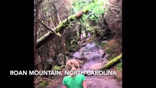 Roan Mountain, North Carolina