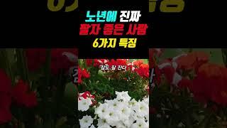노년에 진짜 팔자 좋은 사람 6가지 특징 #명언 #오디오북 #좋은글 #지혜 #인생조언 #인생명언