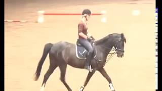 REITEN und ZUCHT-Video Reitlehre: „Aus dem Zirkel wechseln“