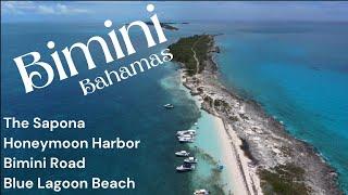 The Best of Bimini, Bahamas | The Sapona | Honeymoon Harbor| Bimini Road | Boston Whaler 280 Vantage