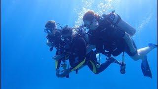 Дайвинг в Шарм-эль-Шейхе/ INTRODIVE in Sharm el-Sheikh, 2017