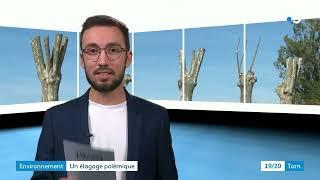 GNSA Lavaur-Vaurais / Elagage polémique à Brens