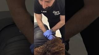 Part 4: Tanika Ray gets a chiropractic adjustment from the King of Cracks 