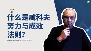 ‍️努力与成效法则——威科夫量价分析法3大法则之3 | 投入产出定律 | 量价不协调原理 | 努力与结果法则