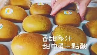 黃金奇異果