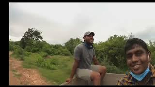 Elephant Chasing device