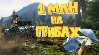 1 МЛН на ГРИБАХ. Majestic RP | GTA 5