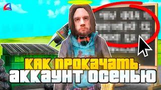 КАК НОВИЧКУ ЗА ОСЕНЬ - ПРОКАЧАТЬ АККАУНТ на АРИЗОНА РП? ГАЙД на ARIZONA RP 2024 (GTA SAMP)