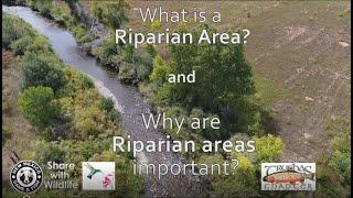 What is a Riparian Area and Why are Riparian Areas Important?