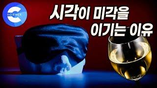 블라인드 테스트를 하는 이유는? | 뇌의 절반은 시각 정보를 처리 | 지식채널e