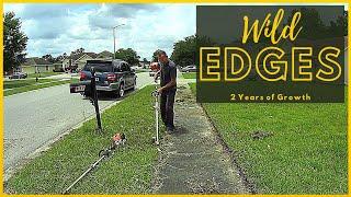 How To Edge Grass Off a Sidewalk / Driveway - Edging Grass - Stihl Stick Edger