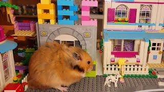 Hamster Loves Lego Libraries