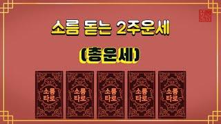 [타로/운세] 앞으로 2주간의 운세는?!?!?!?!?!?!?